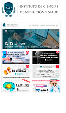 ICNS - Instituto de Ciencias de Nutrición y Salud